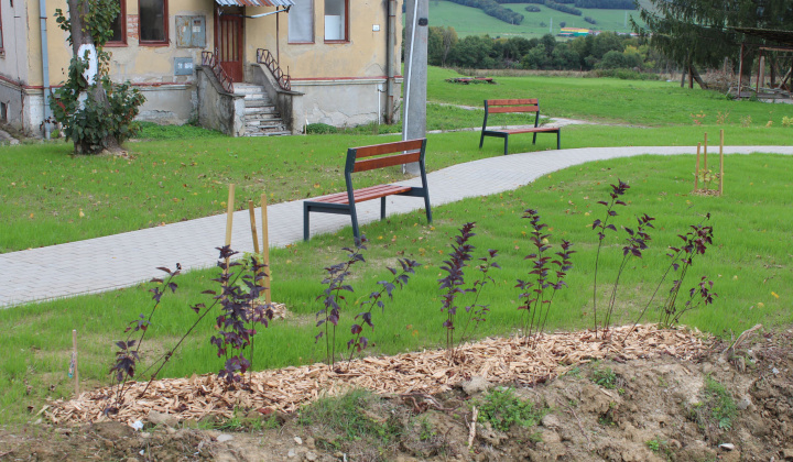 Aktuality / Revitalizácia zelene pri ZŠ v obci Mestisko  - foto