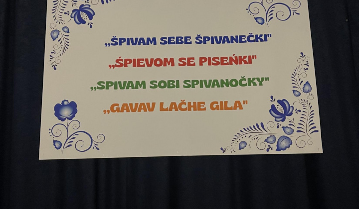 Multikultúrny festival v Mestisku 2025