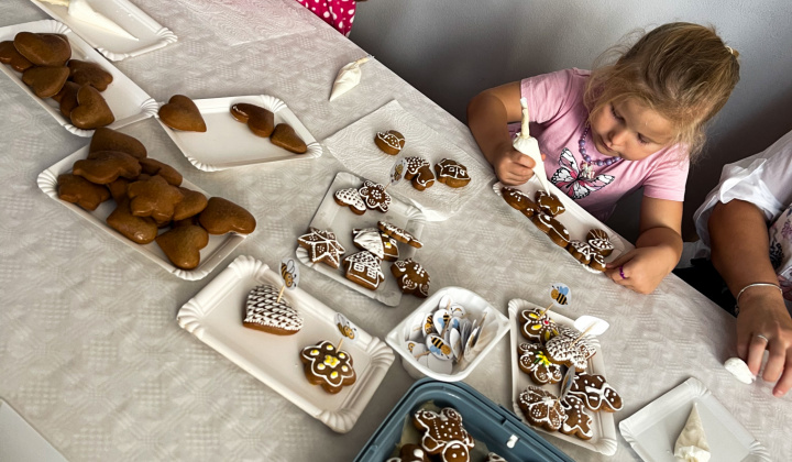 Multikultúrny festival v Mestisku 2025