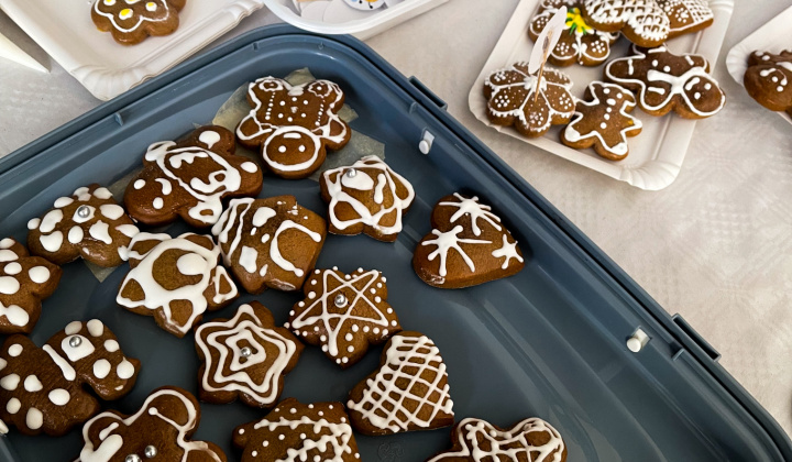 Multikultúrny festival v Mestisku 2025