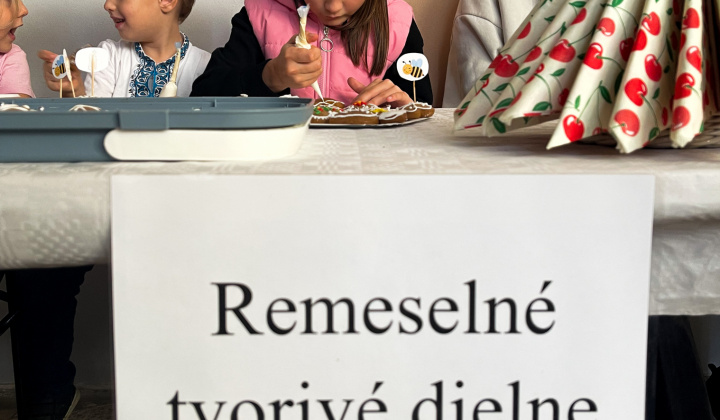 Multikultúrny festival v Mestisku 2025