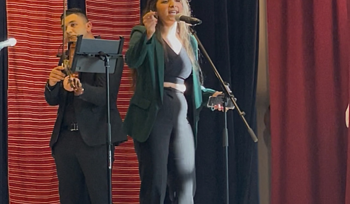 Multikultúrny festival v Mestisku 2025