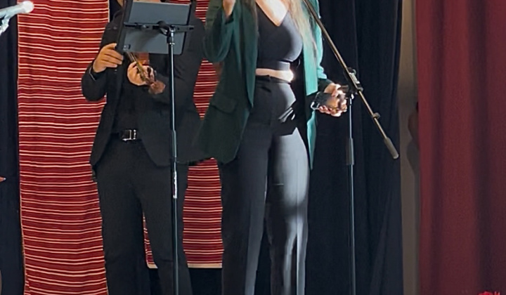 Multikultúrny festival v Mestisku 2025