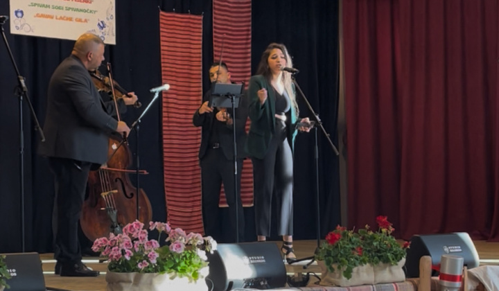 Multikultúrny festival v Mestisku 2025