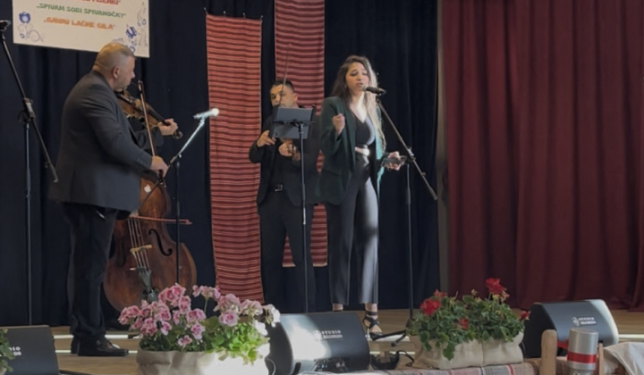 Multikultúrny festival v Mestisku 2025