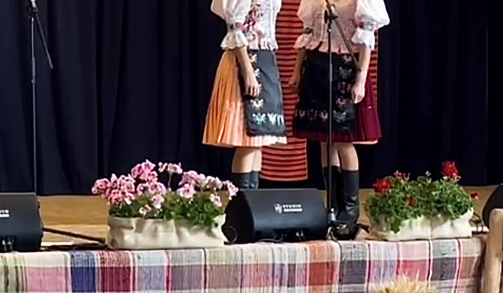 Multikultúrny festival v Mestisku 2025