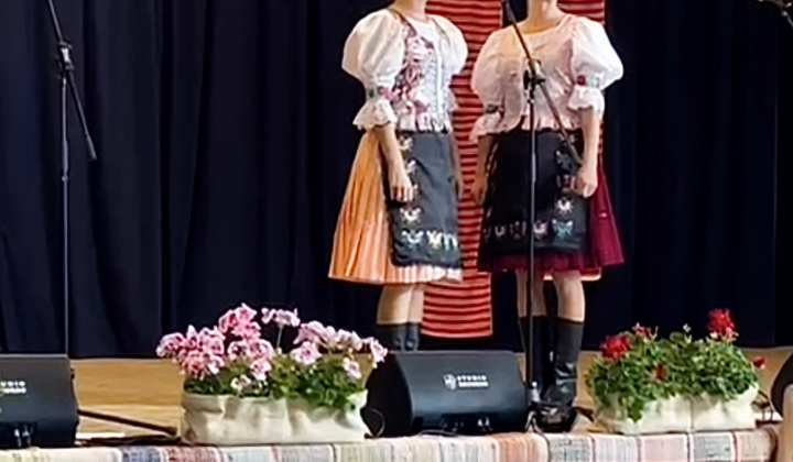 Multikultúrny festival v Mestisku 2025